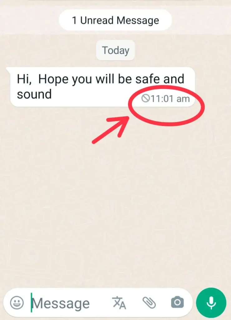 Read Deleted Message